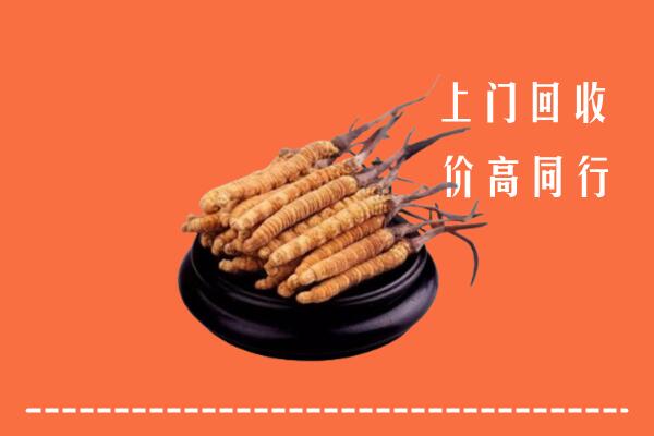 高价求购：宜昌市点军区回收散虫草