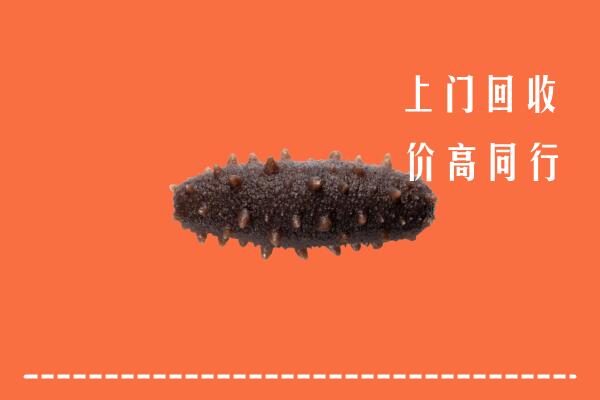 高价求购：宜昌市点军区回收海参