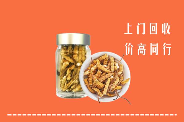 宜昌市点军区回收冬虫夏草