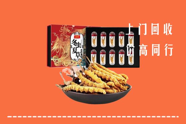 宜昌市点军区回收虫草